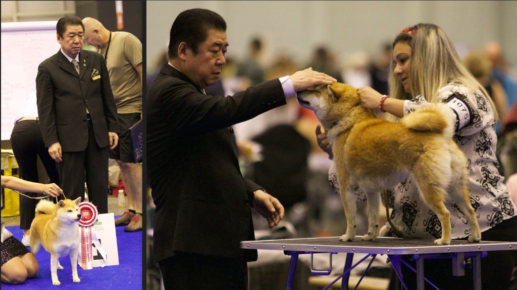 Kami No Uma - World dog Show 2023 Genève - Résultats des KNU